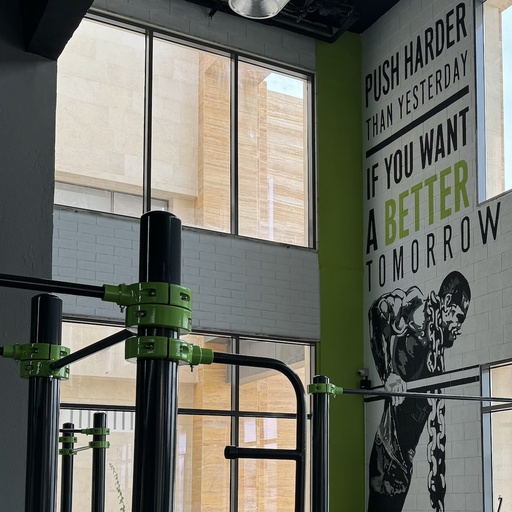 10 Classes Calisthenics / Day Pass - 1 Months